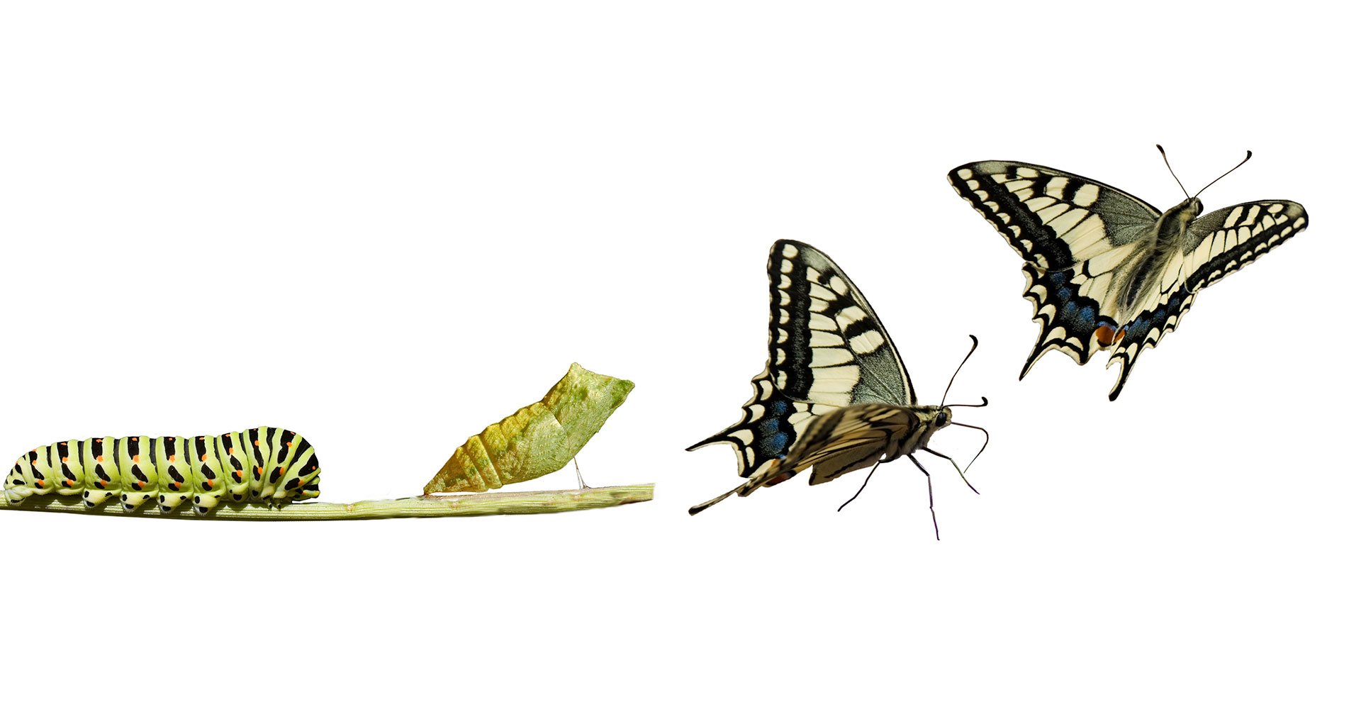 We are with you from the very beginning