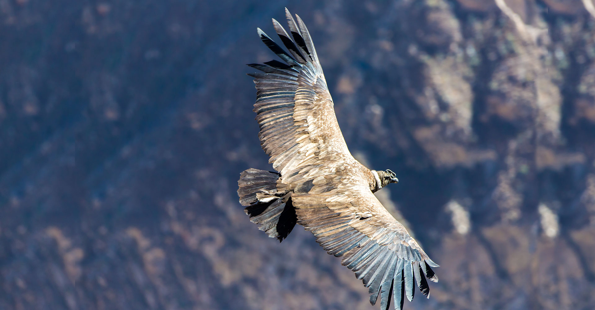 We bring new service perspectives 